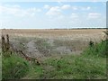 SK9910 : Entrance to stubble field, west of Pickworth Road by Christine Johnstone