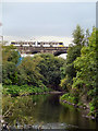 SD7807 : River Irwell, Radcliffe Viaduct by David Dixon