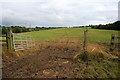 SJ8251 : Field and gate near the A500 by David Lally