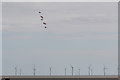 TM1714 : The Red Arrows over Clacton, Essex by Christine Matthews