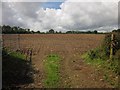 SY2099 : Tilled field near Widworthy Park by Derek Harper