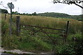 SH9338 : Rough grazing near Ty Capel by Philip Halling