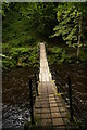 NY7963 : Allen Banks: suspension bridge over River Allen by Christopher Hilton