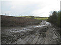 SP2085 : Track and tree-planting, Packington landfill site  by Robin Stott