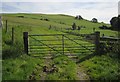 SH8404 : Gate on Glyndwr's Way by Derek Harper