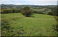 SH8404 : Pasture on Glyndwr's Way by Derek Harper