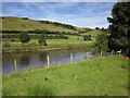 SH8104 : Afon Dyfi by Derek Harper