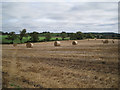 SP1362 : Line of a brook south of Elmhurst Farm by Robin Stott