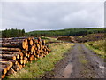 NS7382 : Forestry track and log piles (2), Kilsyth Hills by Alan O'Dowd