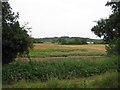 SK2000 : Drayton Bassett: Arable farmland by Nigel Cox