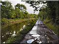 SJ9584 : Macclesfield Canal, Higher Poynton by David Dixon