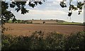 SJ8930 : Farmland by Pirehill Lane by Derek Harper