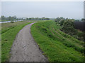 TL5478 : Cyclepath along River Great Ouse by Hugh Venables