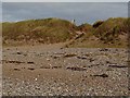 S9504 : Gap in the dunes, Ballyteige Strand by Oliver Dixon