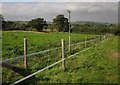 SY2692 : Fencing near Lower Bruckland by Derek Harper