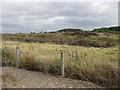 TG1143 : View to Weybourne Windmill by Pauline E