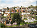 SX9473 : Across the valley from Barnpark Road: 2/3 by Robin Stott