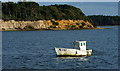 SZ0087 : Fishing in Poole Harbour, Dorset by Peter Trimming