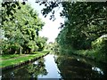 SO8480 : Staffs and Worcs canal above Debdale lock by Christine Johnstone