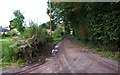 SO7975 : Abi Lane, looking north, Wribbenhall, Bewdley by P L Chadwick