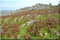 SX5965 : Hen Tor by Graham Horn