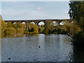 SJ9093 : Bottom Mill Pond and Viaduct, Reddish Vale by David Dixon