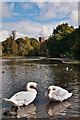 TL1406 : Verulamium Lake by Ian Capper