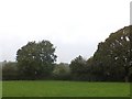 ST0511 : Field and field boundary at Ford Farm by David Smith