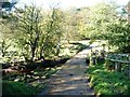 NZ6503 : Ford over the River Esk in dappled shade by Christine Johnstone