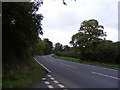 TM3973 : A144 Halesworth Road, Bramfield by Geographer