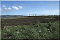 HY2913 : Ring of Brodgar by Christopher Hilton