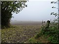 NZ2426 : Entrance to a large, almost flat, arable field by Christine Johnstone