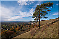 TQ2452 : Colley Hill scarp by Ian Capper