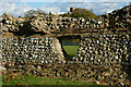 TL1306 : Roman City Wall, St.Albans by Peter Trimming