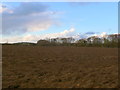 SP2350 : Ploughed Field near Shennington by Nigel Mykura