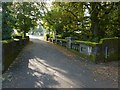 NS3879 : Vale of Leven Cemetery: the lower bridge by Lairich Rig