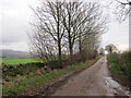  : Road towards Robberby Farm by Les Hull