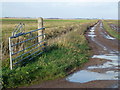 TL2290 : Farm track over Whittlesey Mere by Richard Humphrey