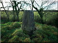 J1779 : Killead Triangulation Pillar by Rossographer