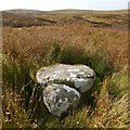 NS4481 : Unfinished millstone at Red Brae by Lairich Rig