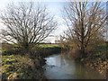 TL4154 : Bourn Brook in December by John Sutton