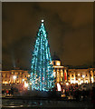 TQ2980 : Trafalgar Square Christmas tree 2012 by Steve  Fareham