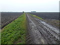 TL5597 : Public footpath along a private farm track by Richard Humphrey