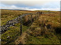 SD8878 : Boundary Fence on Little Fell by Chris Heaton