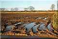 SK8772 : Waterlogged farmland by Richard Croft