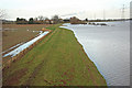 SK8171 : Trent floodbank by Richard Croft