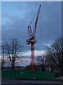 NS5758 : Crane beside Clarkston Road by Alec MacKinnon