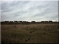 TA0526 : Land waiting for development on Henry Boot Way by Ian S