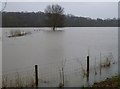 TL1498 : Flooded water meadow at Ferry Meadows, Peterborough by Richard Humphrey