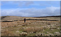 SK0375 : Ridge rising north of Longhill Farm by Trevor Littlewood